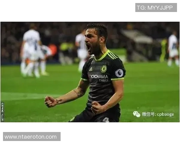 尼姆与布尔格2017年精彩对决回顾及赛季分析