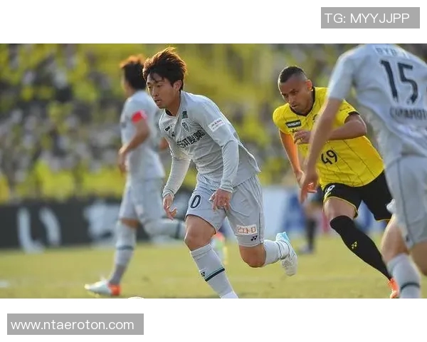 福冈黄蜂大宫松鼠激战即将开启球迷热情高涨期待精彩对决